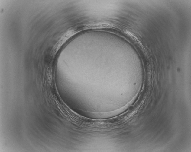 X0000058131457200510171324