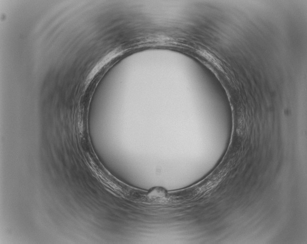 X0000058131458200510171324