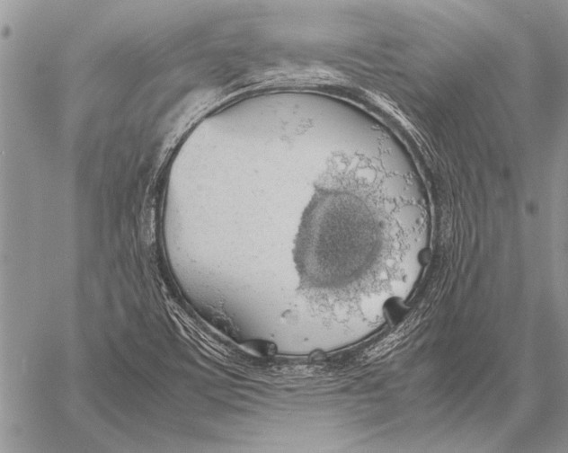 X0000058131459200510171324