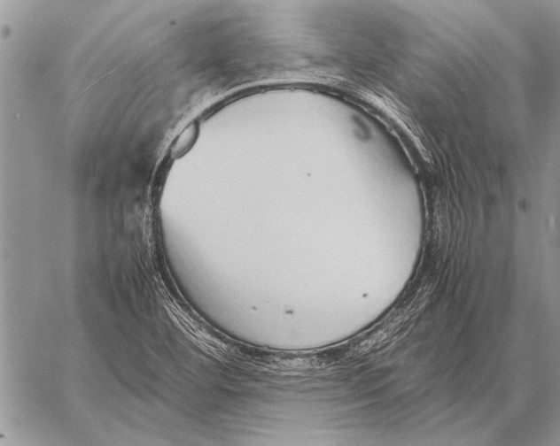 X0000058131460200510171324