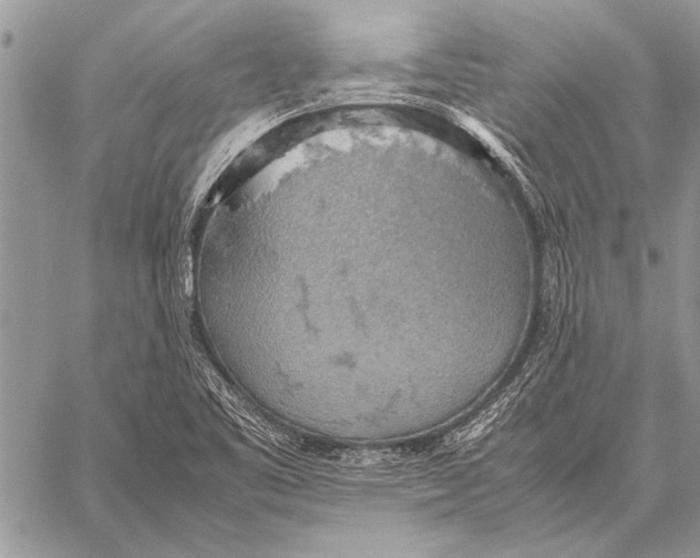 X0000058131461200510171324