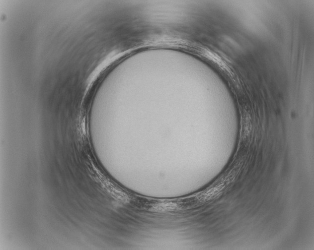 X0000058131462200510171324