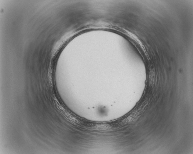 X0000058131464200510171323