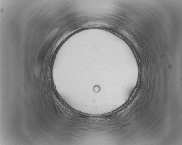 X0000058131465200510171323