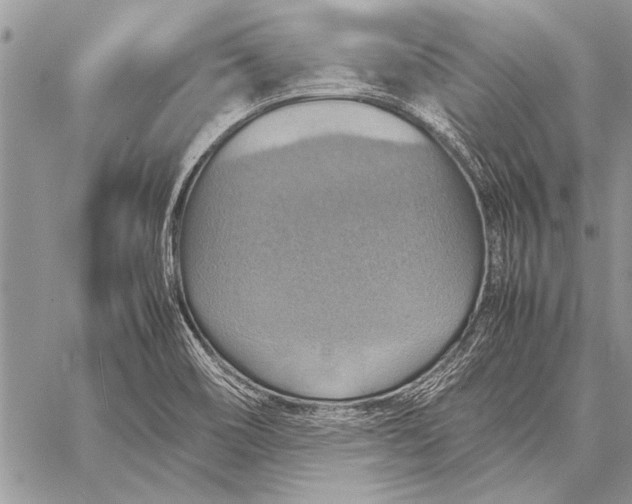 X0000058131466200510171323