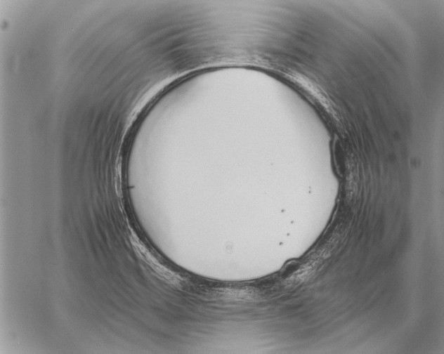 X0000058131468200510171323