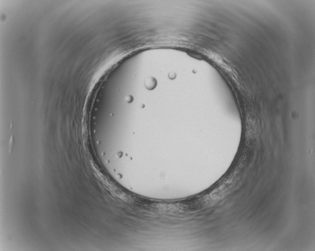 X0000058131469200510171323