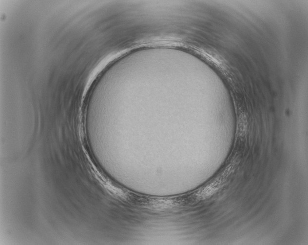 X0000058131470200510171323