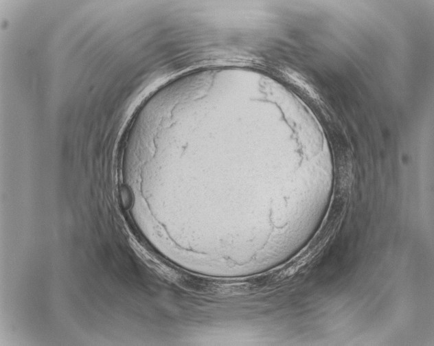 X0000058131471200510171323