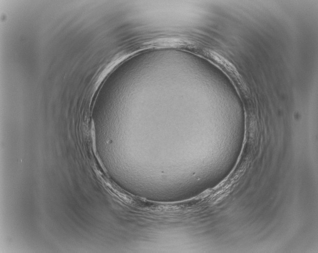 X0000058131473200510171323