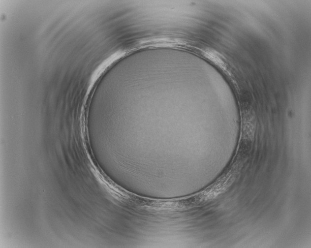 X0000058131474200510171323