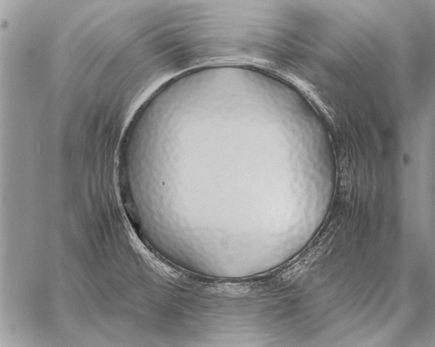 X0000058131476200510171323