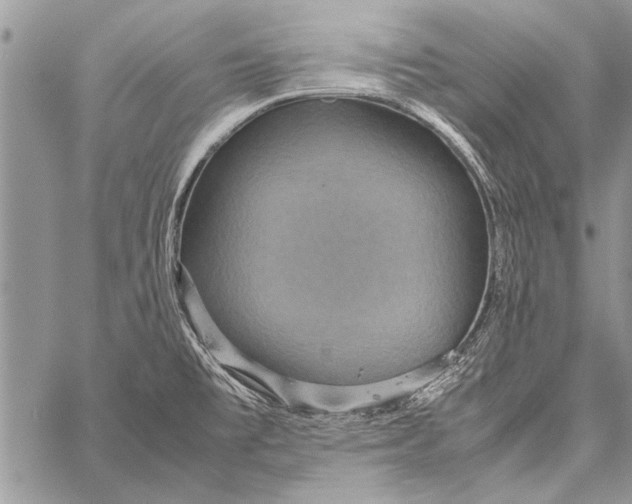 X0000058131477200510171323