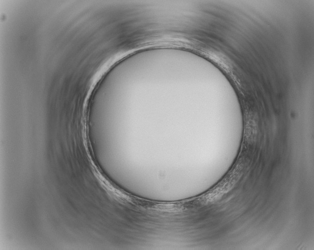 X0000058131478200510171323