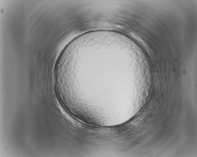 X0000058131479200510171323