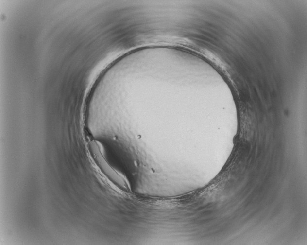 X0000058131480200510171323