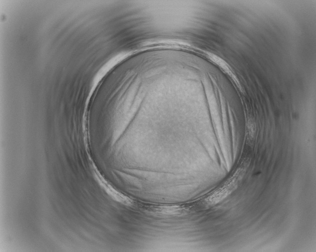 X0000058131482200510171323