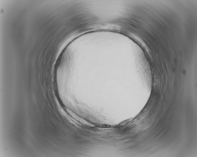 X0000058131483200510171323