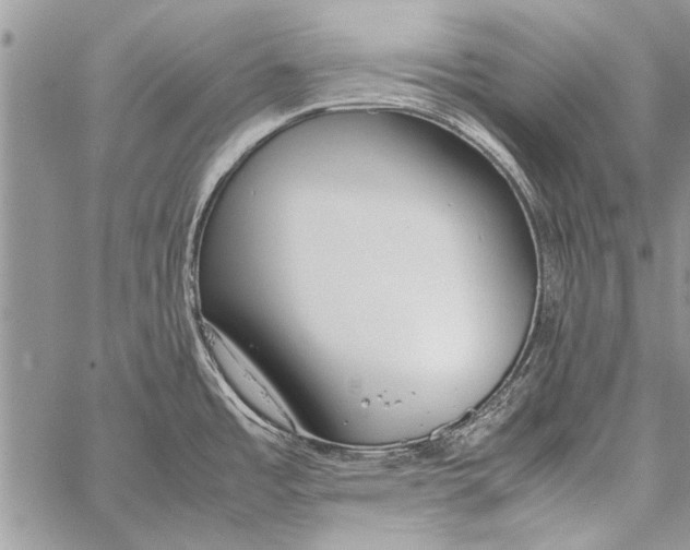 X0000058131485200510171323