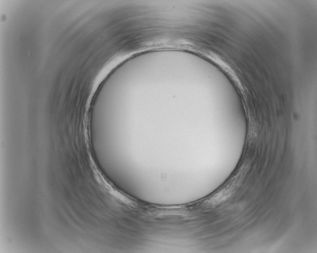 X0000058131486200510171323