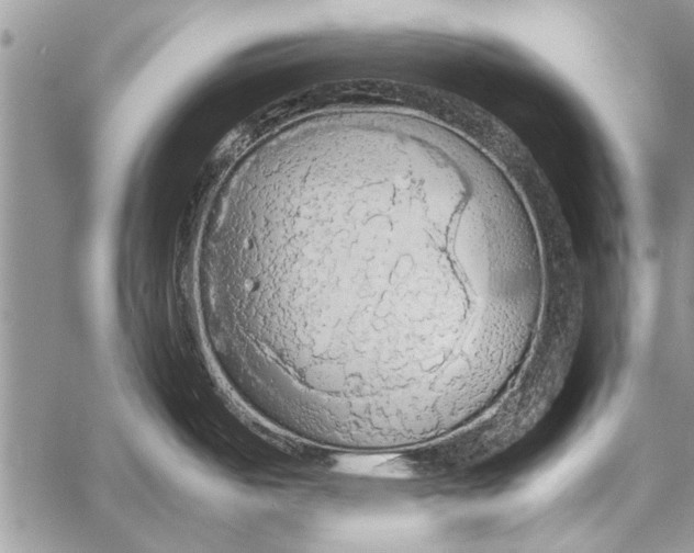 X0000058131487200510171323