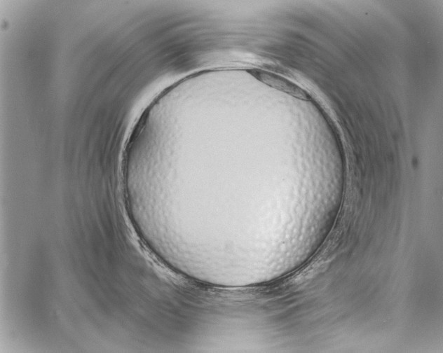 X0000058131488200510171323