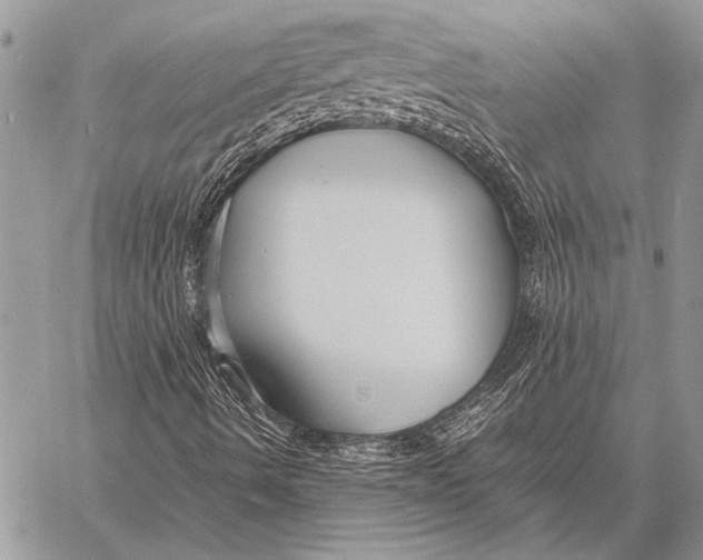 X0000058131490200510171322