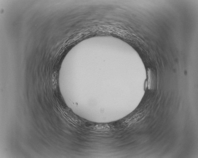 X0000058131491200510171322