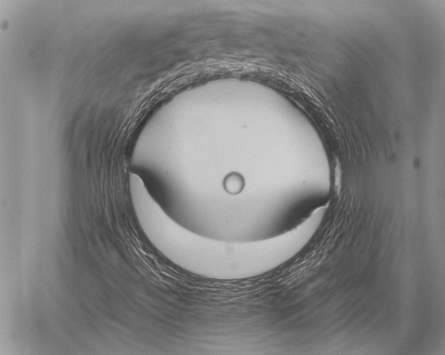 X0000058131492200510171322