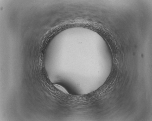 X0000058131493200510171322