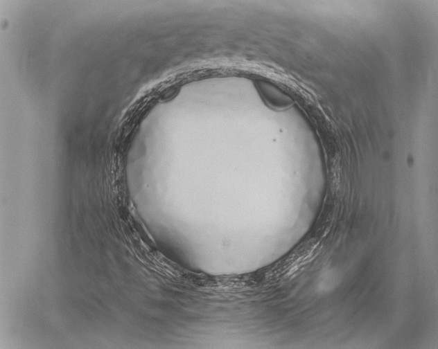 X0000058131494200510171322