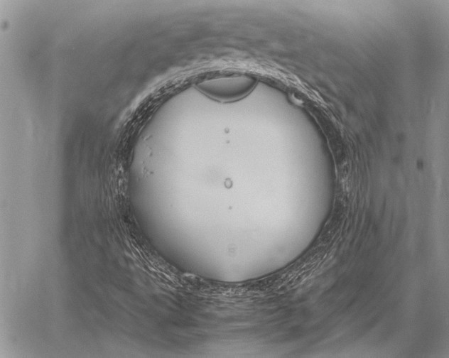 X0000058131495200510171322