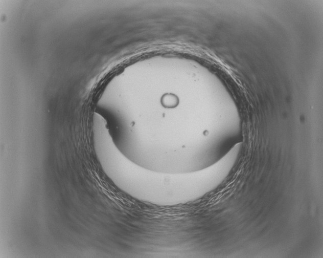 X0000058131496200510171322