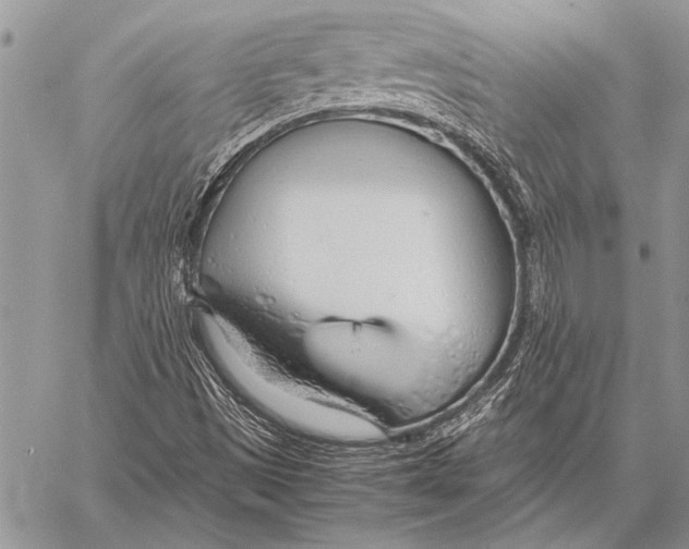 X0000058131497200510171322