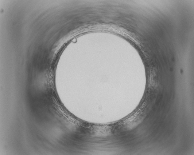 X0000058131498200510171322