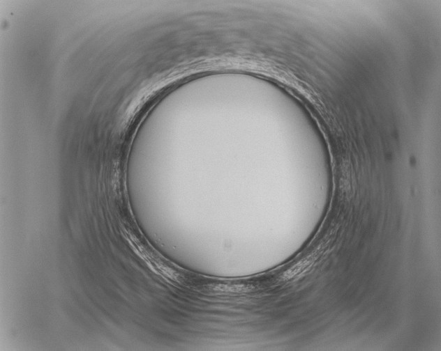 X0000058131499200510171322