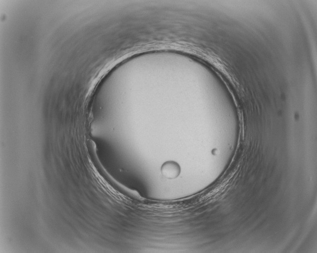 X0000058131500200510171322