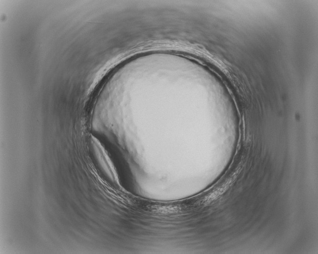 X0000058131501200510171322