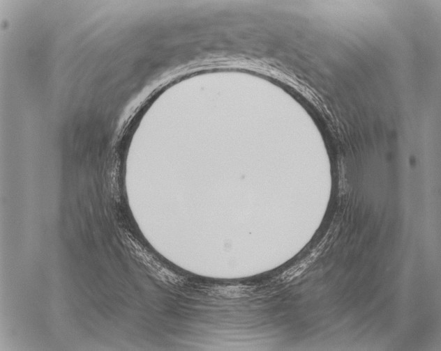 X0000058131502200510171322