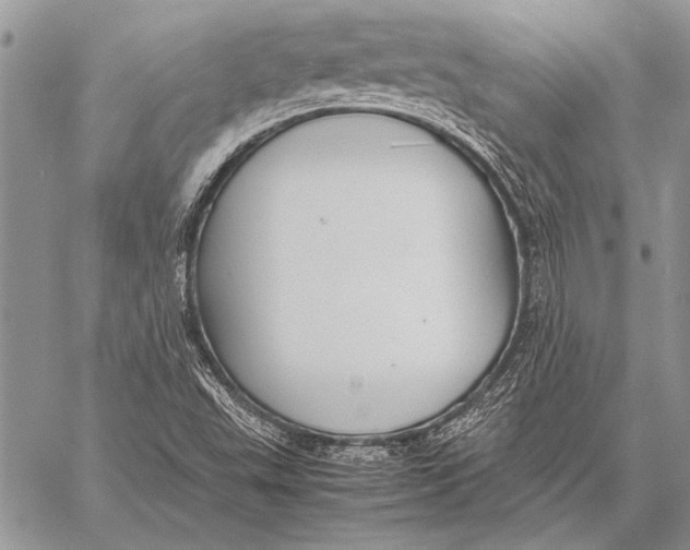 X0000058131503200510171323