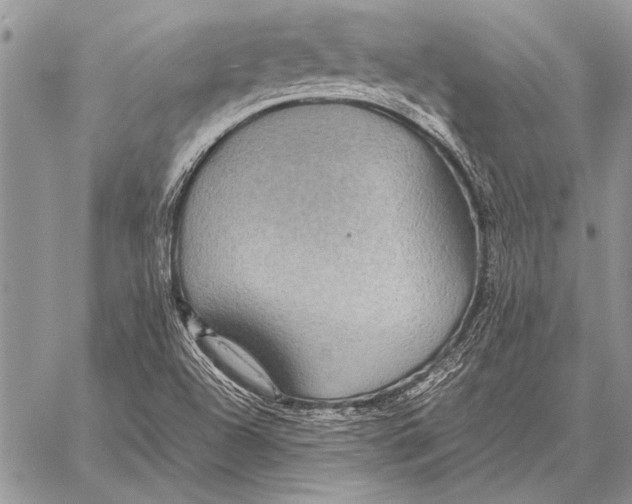 X0000058131504200510171323