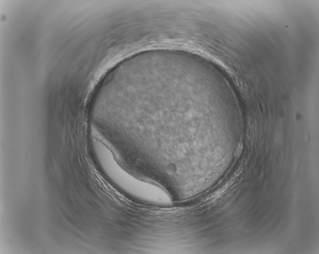 X0000058131506200510171323