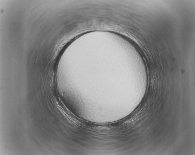 X0000058131507200510171323