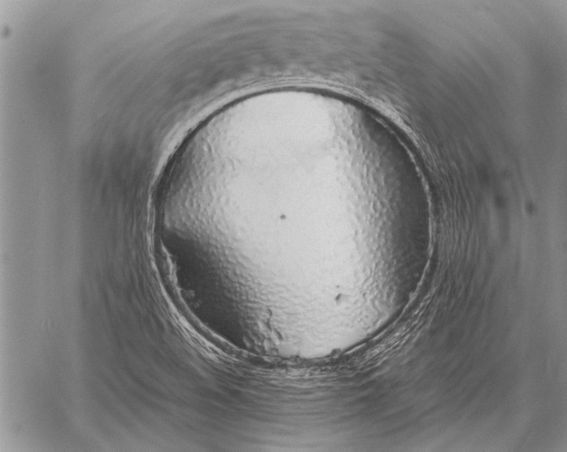 X0000058131508200510171323