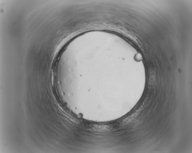 X0000058131509200510171323