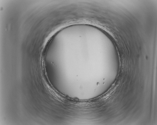 X0000058131510200510171323