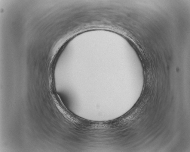 X0000058131511200510171323