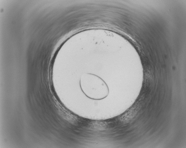 X0000058131514200510171323