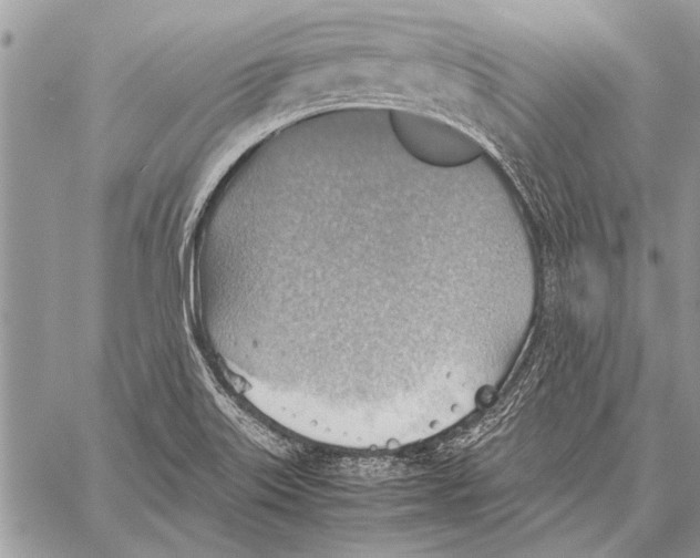 X0000058131515200510171323