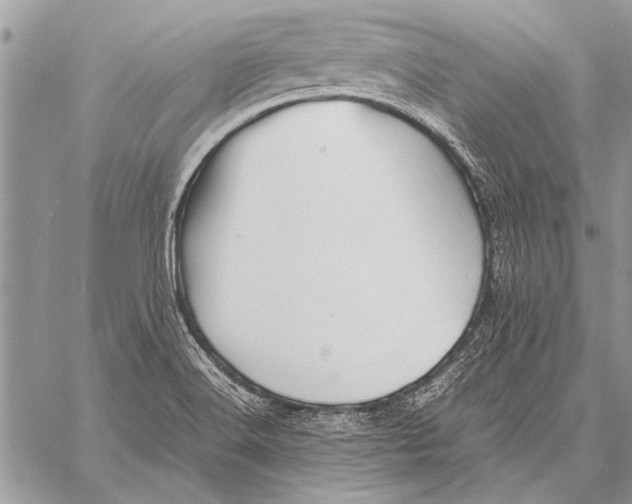 X0000058131516200510171323